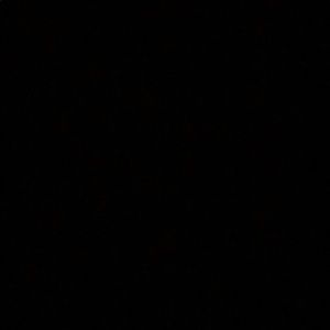 Meet your Posher, Xavier